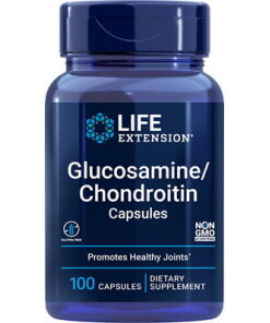 Glucosamine/Chondroitin Capsules - 100 caps