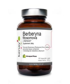 KENAY Phytosome Berberine with Berbevis (60 caps)